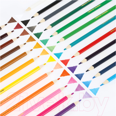 Набор цветных карандашей Мульти-пульти Енот в Испании / CP_10758