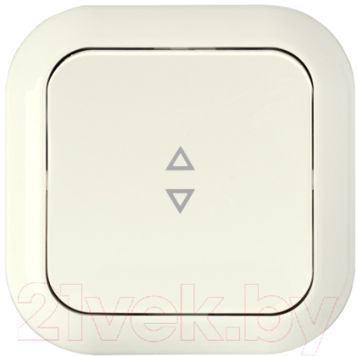 Выключатель Bylectrica С6 6-120 - фото