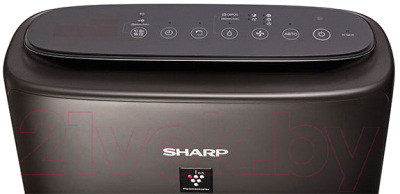 Климатический комплекс Sharp KIN41RH