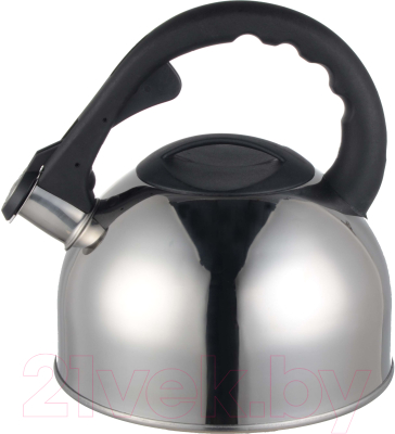 Чайник со свистком Astiat 2.5л AST1021 - фото