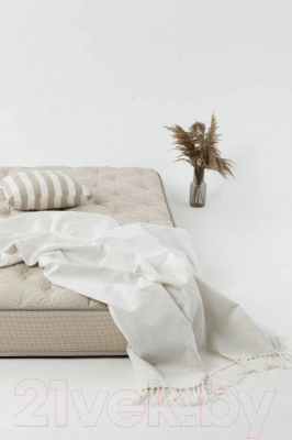 Матрас Armos Brownie Soft Тик хлопковый 120x190