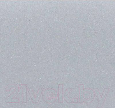 Мойка кухонная Wisent W510-29