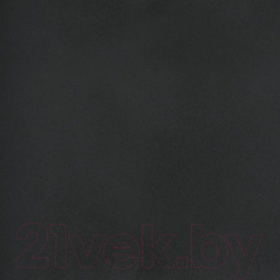 Мойка кухонная Wisent W600-26