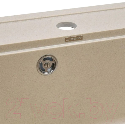 Мойка кухонная Wisent W600-30