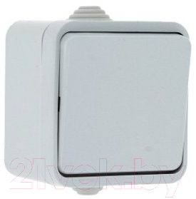 Выключатель EKF Прага 1кл 10А IP44 / EKV10-021-10-44 - фото