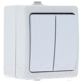 Выключатель EKF Венеция 2кл 10А IP54 / EVV10-023-10-54 - фото