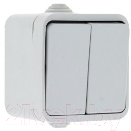 Выключатель EKF Прага 2кл 10А IP44 / EKV10-023-10-44 - фото