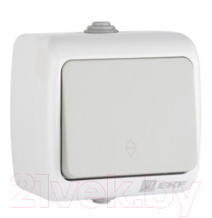 Выключатель EKF Мурманск 1кл 10А IP54 проходной / EFV10-025-30-54 - фото