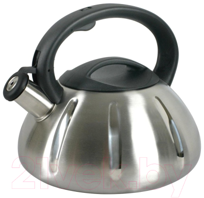 Чайник со свистком Astiat 3.0л AST1025 - фото