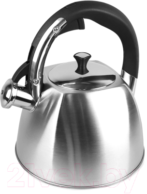 Чайник со свистком Astiat 3.0л AST1028 - фото
