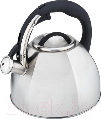 Чайник со свистком Astiat 3.0л AST1029 - фото