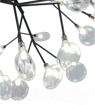 Люстра Kinklight Ветта 07521-27.19(21)