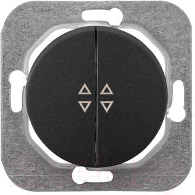 Выключатель Bylectrica С(6+6) 10-3363 - фото