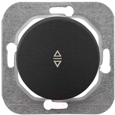 Выключатель Bylectrica С6/2 10-3362 - фото