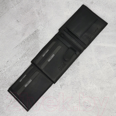 Портмоне Bellugio EM-111R-033