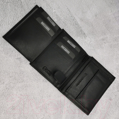 Портмоне Bellugio EM-111R-034