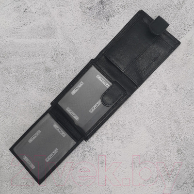 Портмоне Bellugio EM-111R-035