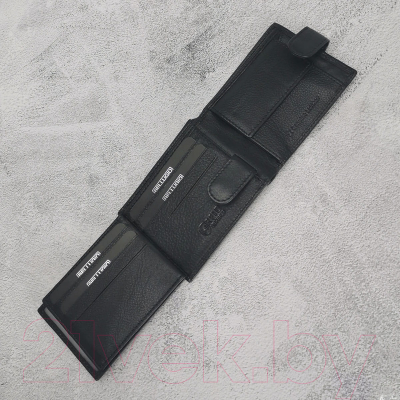 Портмоне Bellugio EM-111R-035