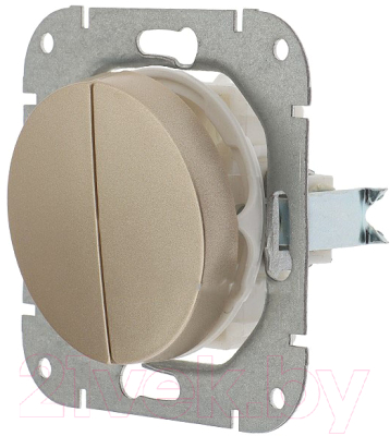 Выключатель Bylectrica С5 10-3302