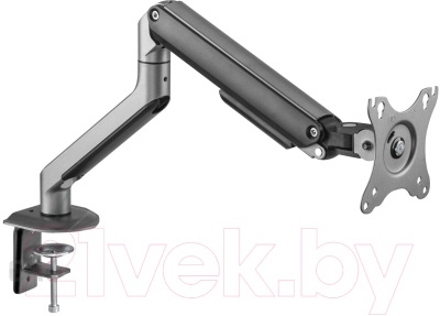 Кронштейн для монитора Ergosmart Space Grey