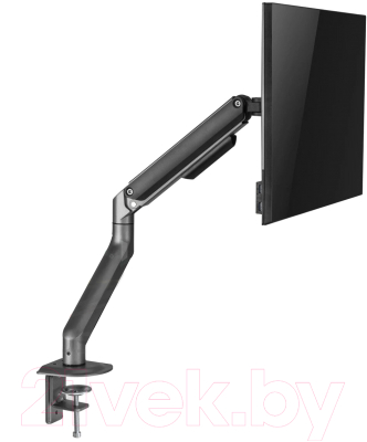 Кронштейн для монитора Ergosmart Space Grey