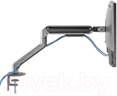 Кронштейн для монитора Ergosmart Space Grey