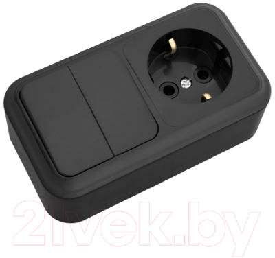 Блок выключатель+розетка Bylectrica 2В-РЦ-529 - фото