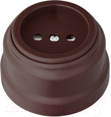 Розетка Bylectrica РА16-0201 - фото