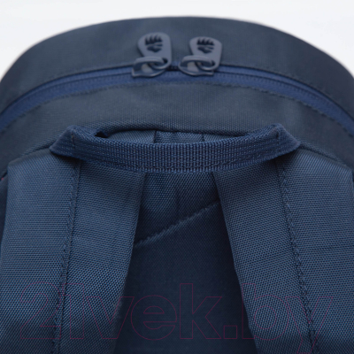 Школьный рюкзак Grizzly RS-374-2 (синий)