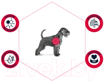 Сухой корм для собак Advance VetDiet Diabetes Colitis