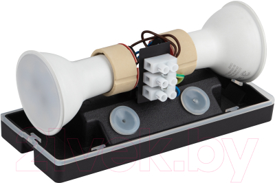 Спот ЭРА WL38 BK / Б0054410