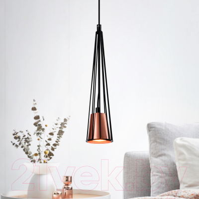 Потолочный светильник Rivoli Emily 4160-201 / Б0055018