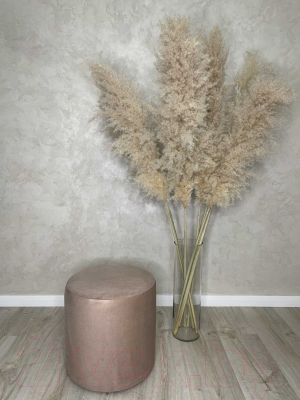 Пуф Асмана 1