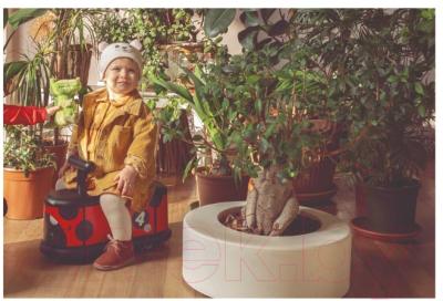 Каталка детская Italtrike Божья коровка / 2000LBI990000