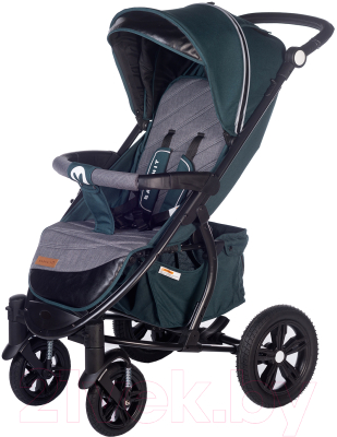 Детская прогулочная коляска Babyhit Tribute / BS102 - фото