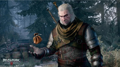 Игра для игровой консоли Nintendo Switch The Witcher 3: Wild Hunt