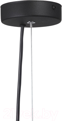 Люстра Vitaluce V4713-1/1S