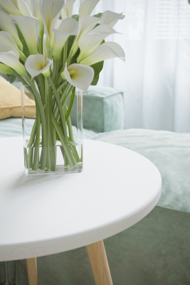 Журнальный столик Калифорния мебель Бекс 450 (белый)