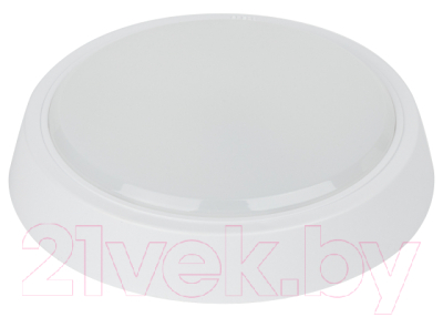 Светильник ЖКХ ЭРА SPB-301-2-4K-10 / Б0055042 - фото