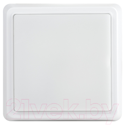 Светильник ЖКХ ЭРА SPB-302-0-4K-15 / Б0055049 - фото