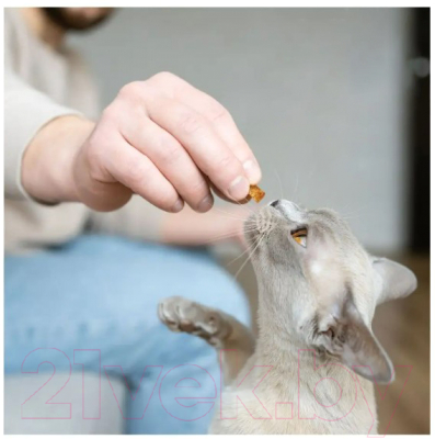 Лакомство для кошек Dreamies MIX с говядиной и сыром