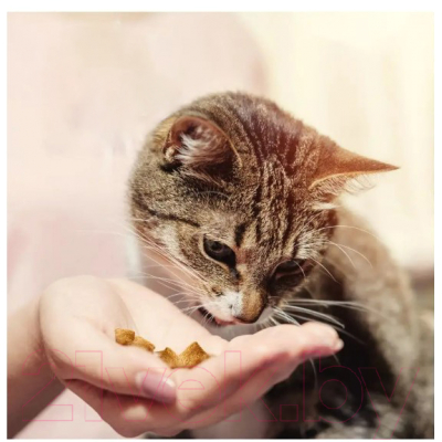 Лакомство для кошек Dreamies MIX с говядиной и сыром