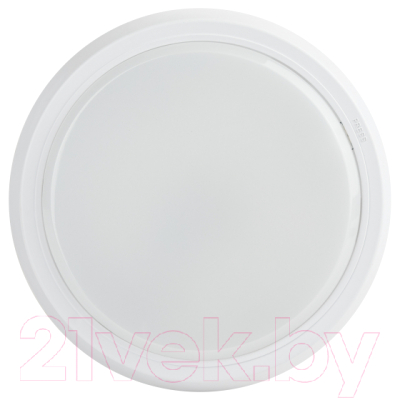 Светильник ЖКХ ЭРА SPB-301-0-4K-20 / Б0055045