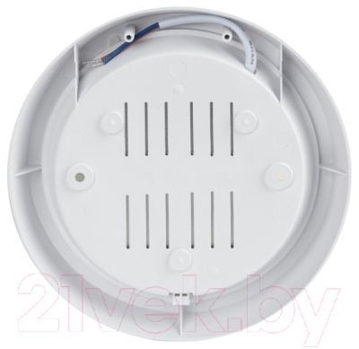 Светильник ЖКХ ЭРА SPB-301-0-4K-20 / Б0055045