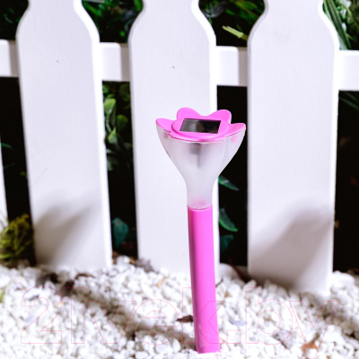 Светильник уличный Uniel Pink Crocus UL-00001762 / USL-C-420/PT305