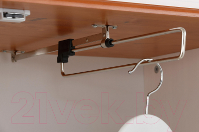 Шкаф Dipriz Adele / Д.7309-4.1