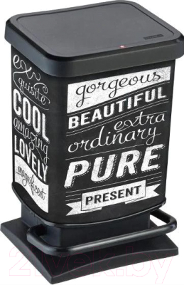 Контейнер для мусора Rotho Paso Treteimer с педалью / 1754011003 - фото