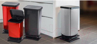 Контейнер для мусора Rotho Paso Treteimer с педалью / 1754011003