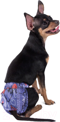 Гигиенические трусики для животных Gamma L / 10582008