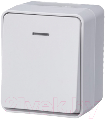 Выключатель Schneider Electric AtlasDesign ATN540113 - фото